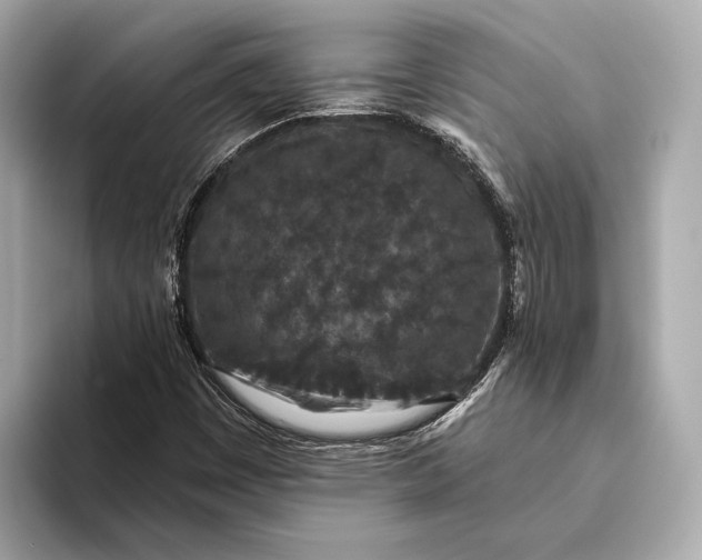 X0000093531449200711021302