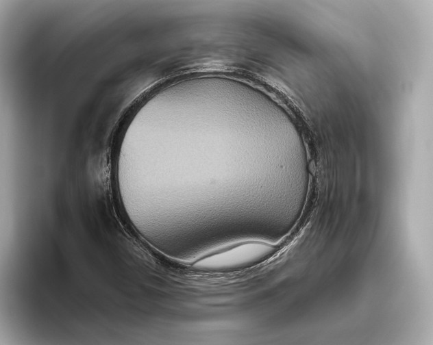 X0000093531450200711021302