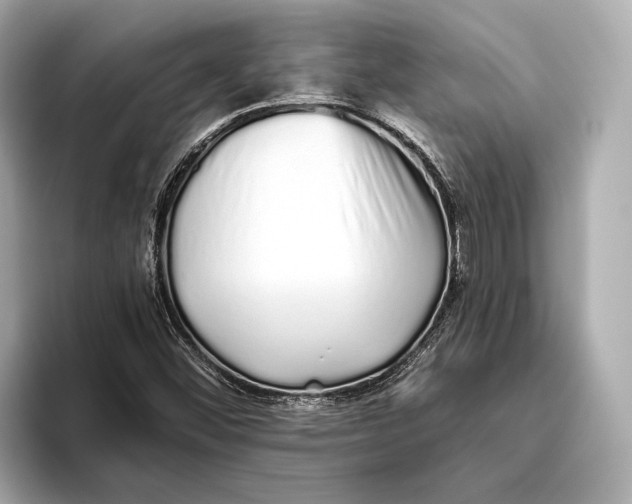 X0000093531452200711021302