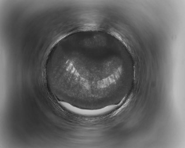 X0000093531453200711021302