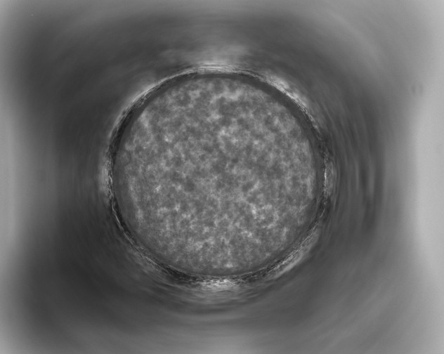 X0000093531454200711021302