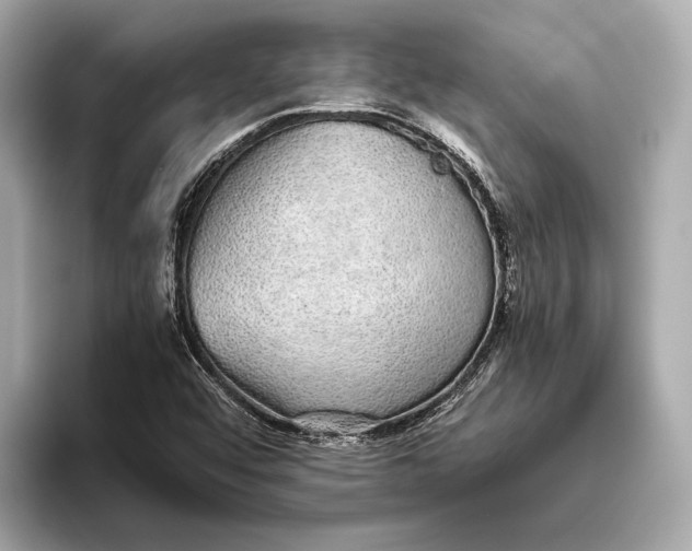 X0000093531456200711021302