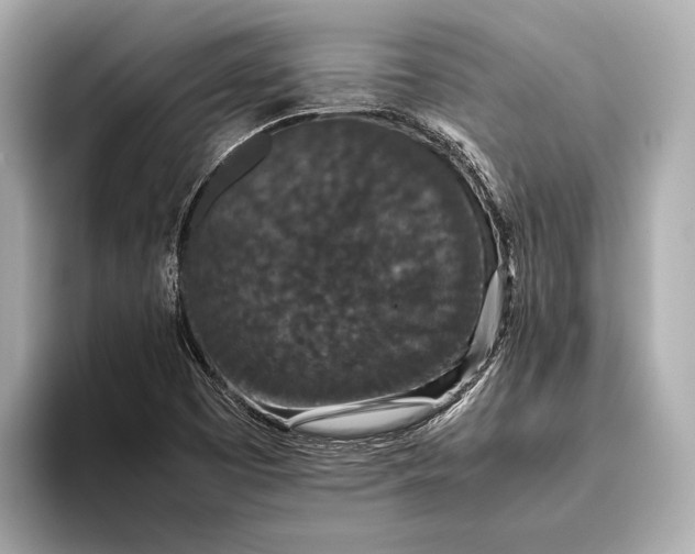 X0000093531457200711021302