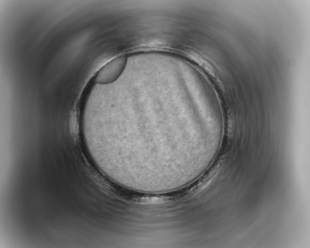 X0000093531458200711021302