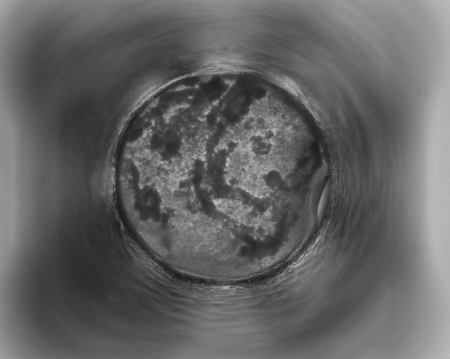 X0000093531459200711021302