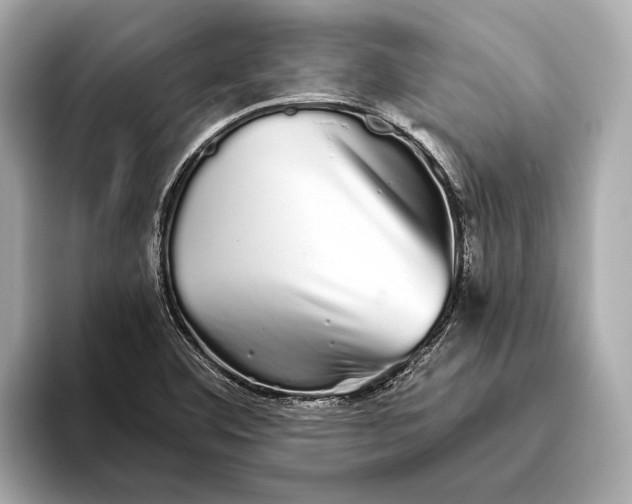 X0000093531460200711021302