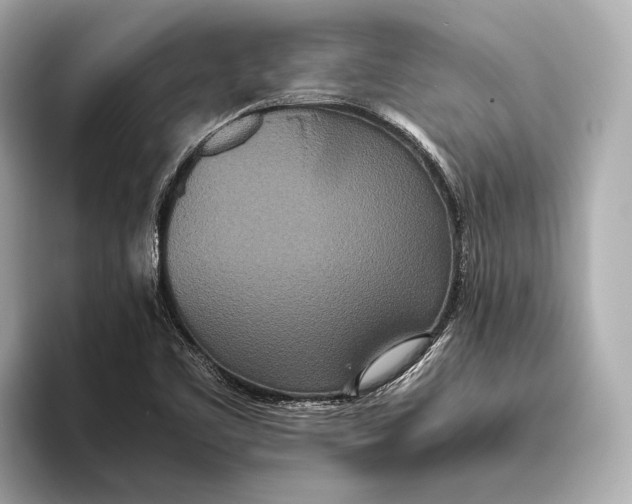 X0000093531461200711021302