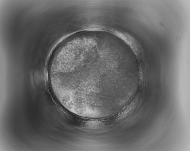 X0000093531462200711021302