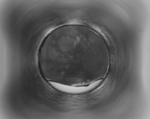 X0000093531463200711021302