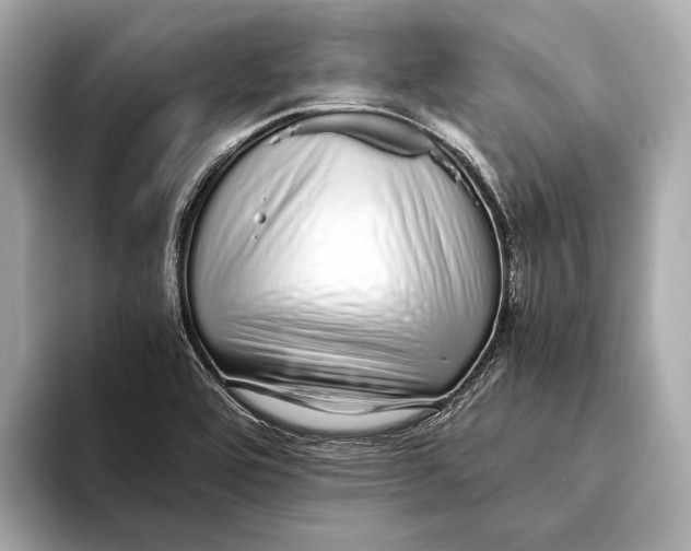 X0000093531464200711021302