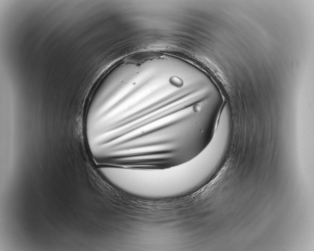 X0000093531465200711021302