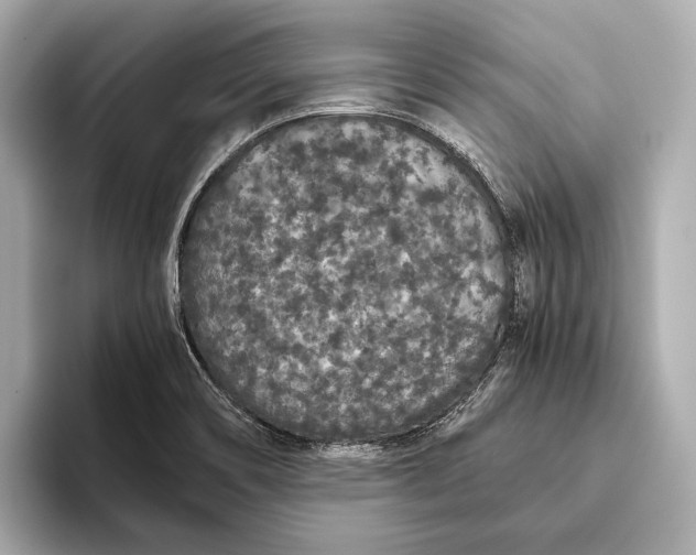 X0000093531466200711021302