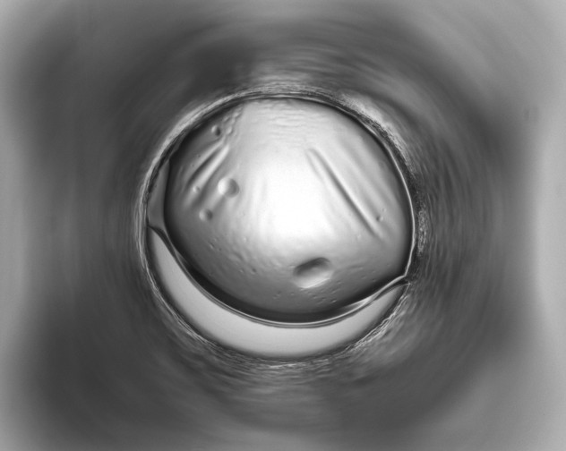 X0000093531467200711021302