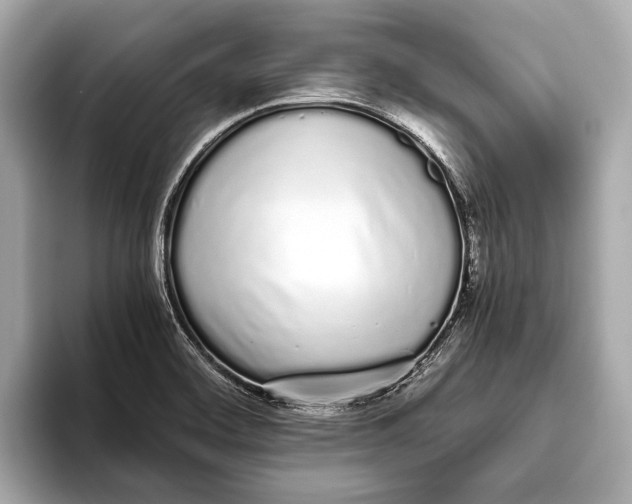 X0000093531468200711021302