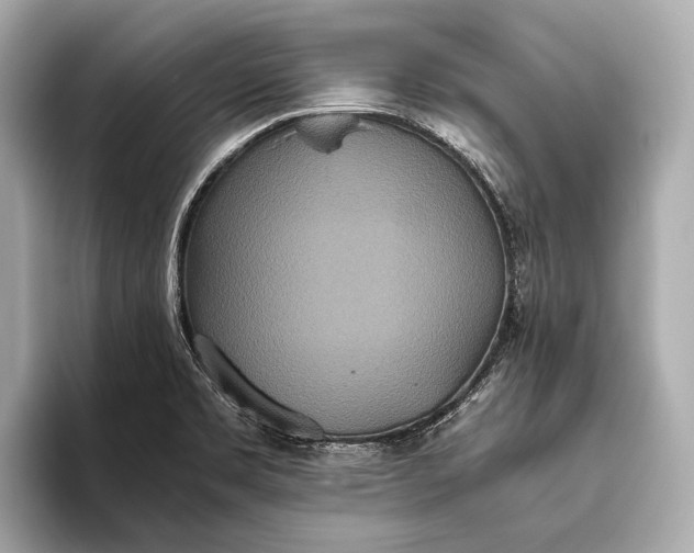 X0000093531469200711021302