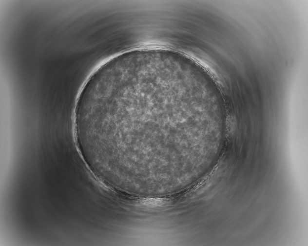 X0000093531470200711021302