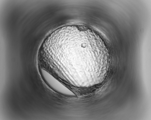 X0000093531471200711021302