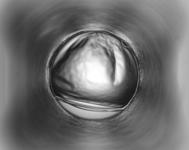 X0000093531472200711021302