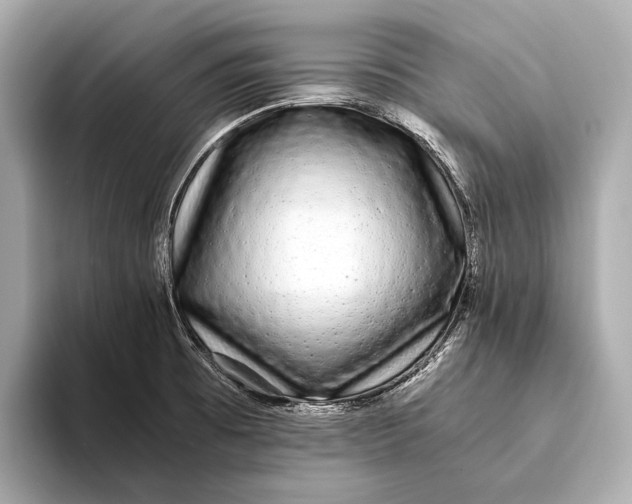 X0000093531473200711021302