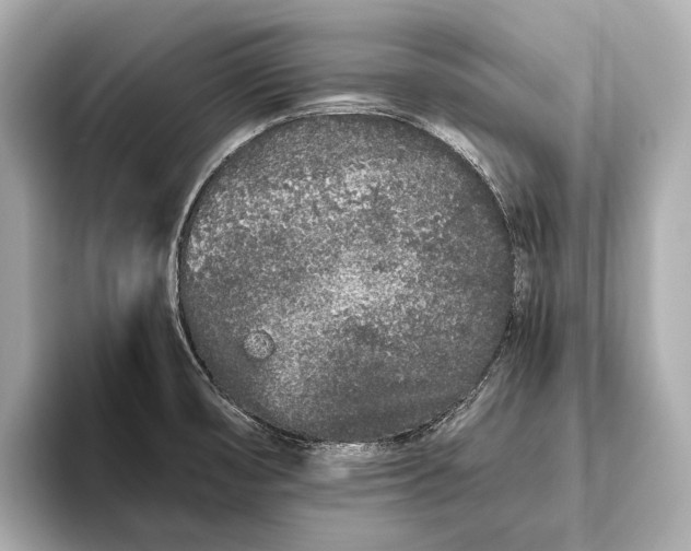 X0000093531474200711021302