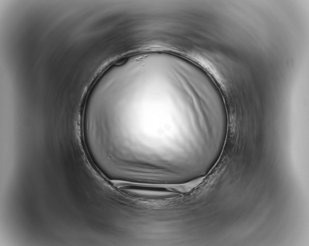 X0000093531476200711021302