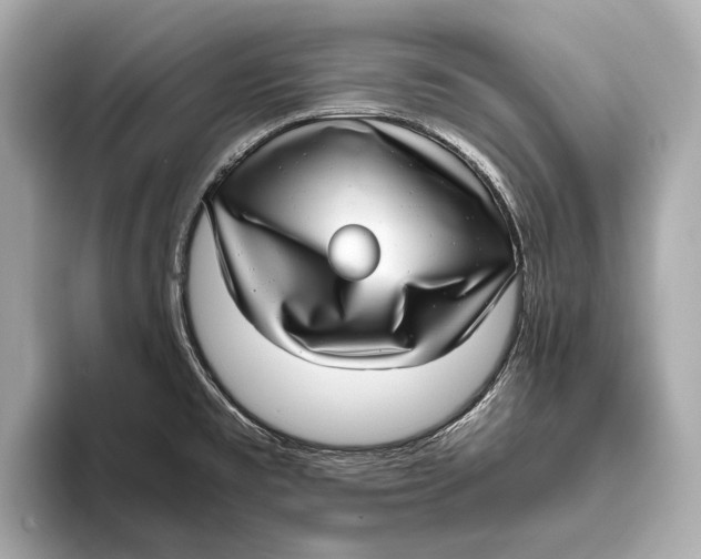 X0000093531477200711021302