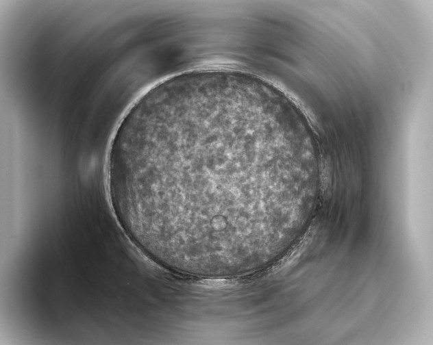 X0000093531478200711021301