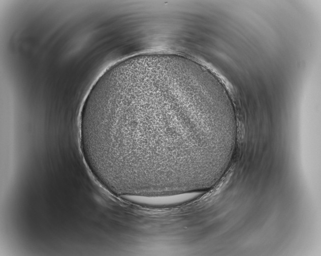 X0000093531479200711021301