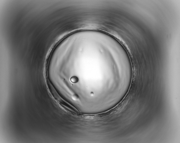 X0000093531480200711021301