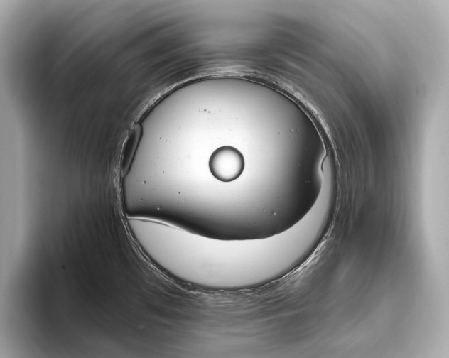 X0000093531481200711021301