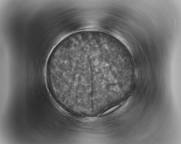 X0000093531482200711021301