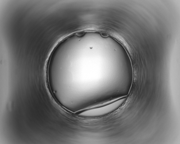 X0000093531483200711021301