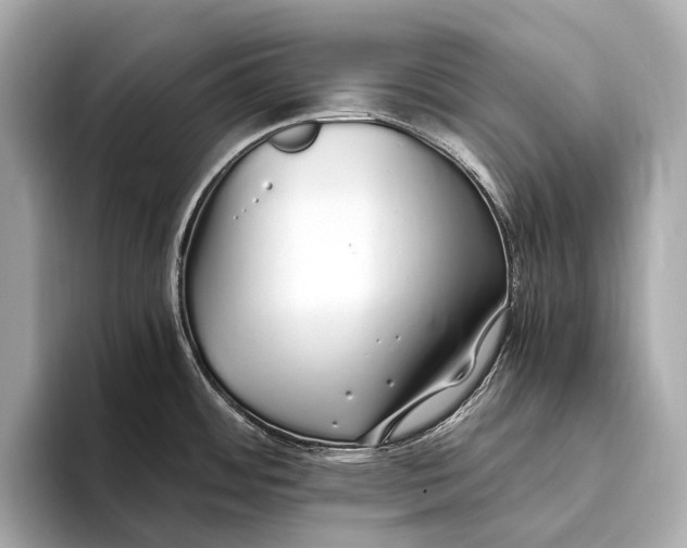 X0000093531484200711021301