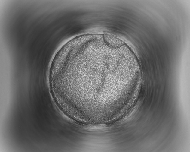 X0000093531486200711021301