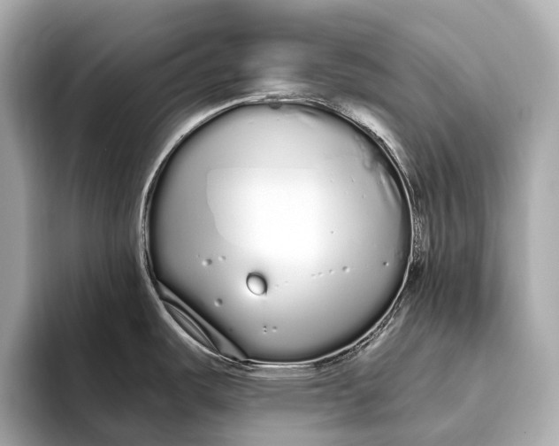 X0000093531487200711021301