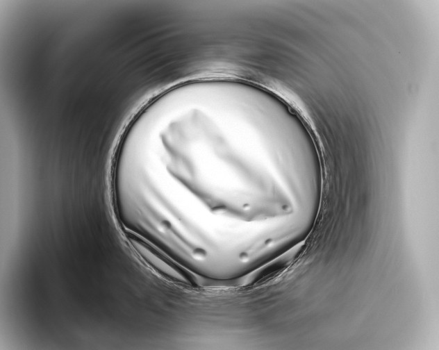 X0000093531488200711021301