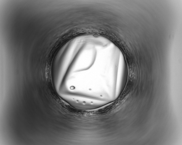 X0000093531490200711021301