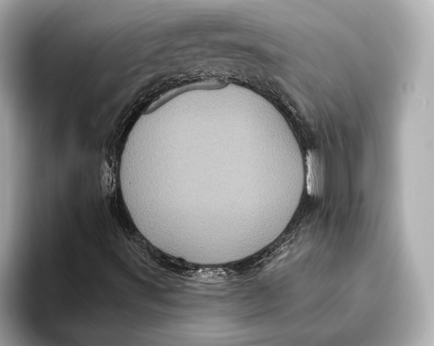 X0000093531491200711021301