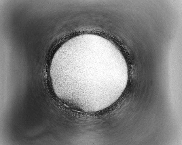 X0000093531493200711021301