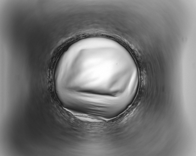 X0000093531494200711021301