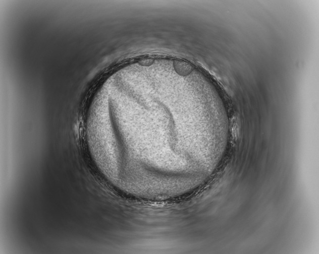 X0000093531495200711021301