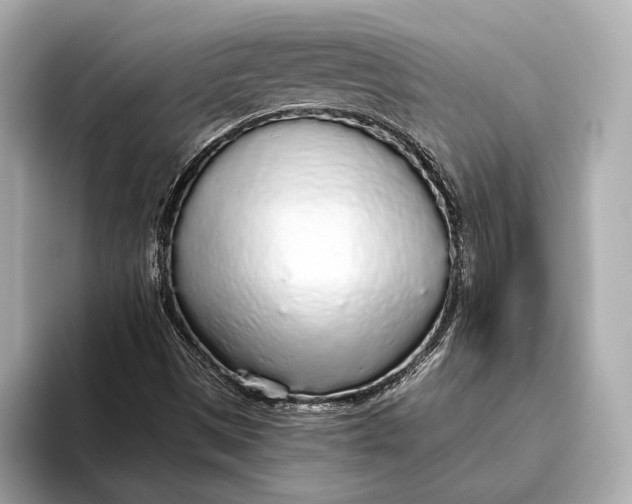 X0000093531497200711021301