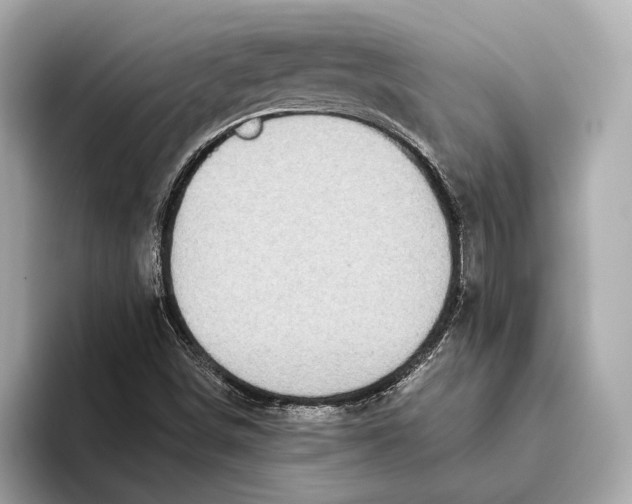 X0000093531498200711021301