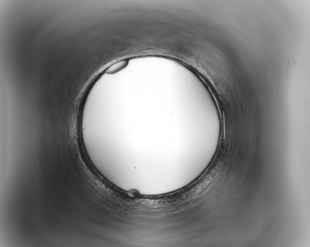 X0000093531500200711021301