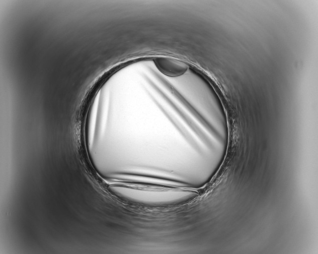 X0000093531503200711021301