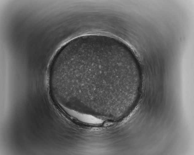 X0000093531506200711021301