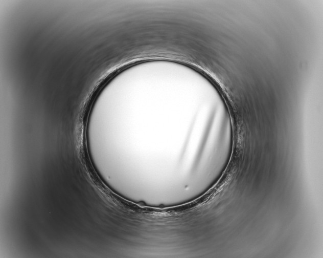 X0000093531507200711021301