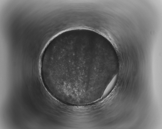 X0000093531508200711021301