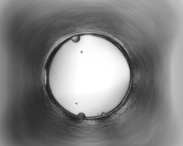 X0000093531509200711021301