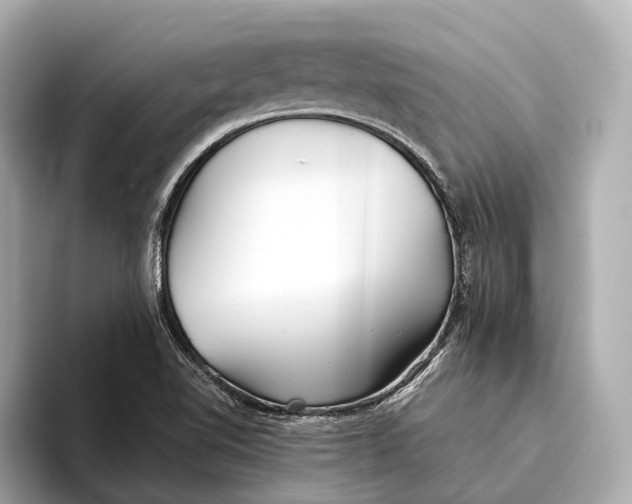 X0000093531510200711021301